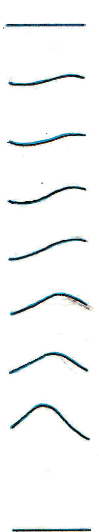 （圖2）