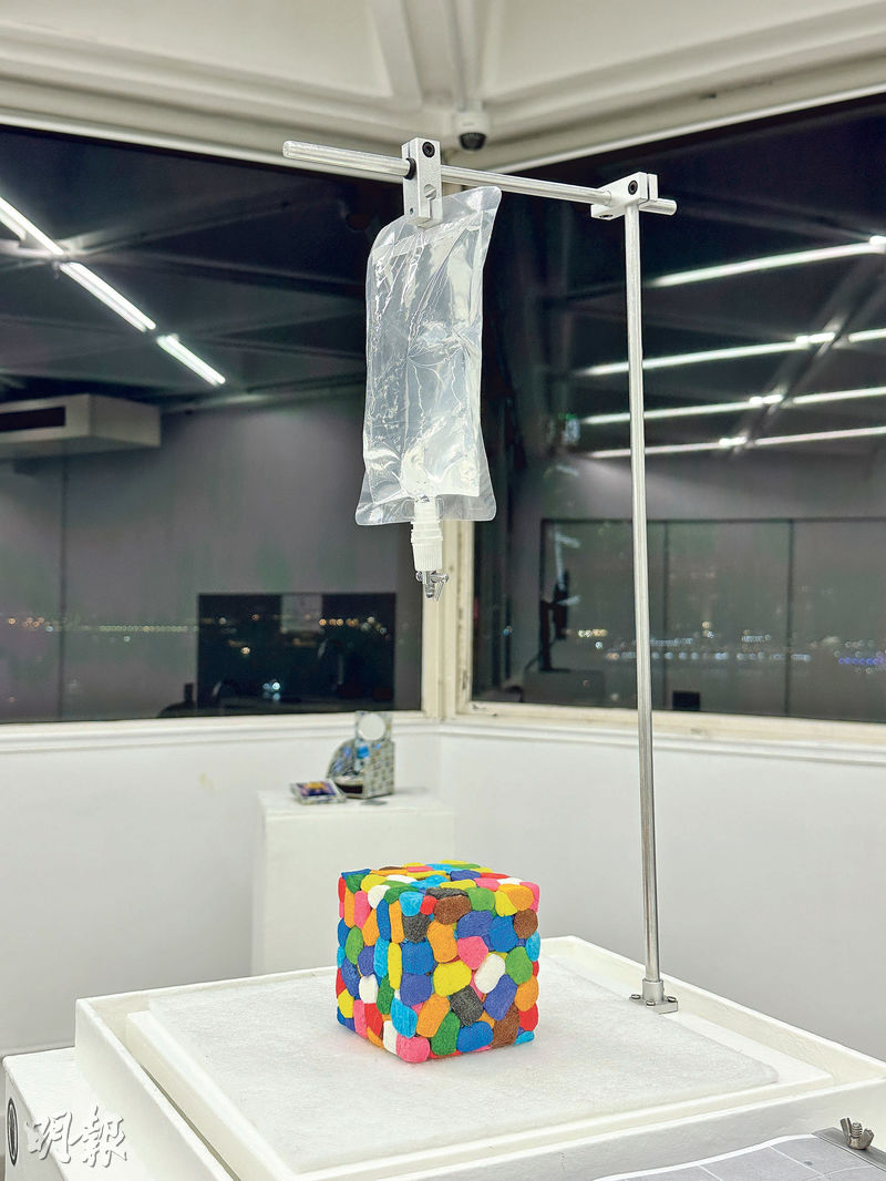 藝術高級文憑2025年畢業展「化」的展品之一,圖為黃永欣的1/64 Self-portrait。(譚雅詩攝)