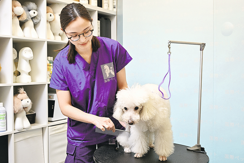 DSE出路從來不止得一條!透過多元升學進修途徑,學生可獲得不同的學習經歷,提升自身的競爭力,為日後投身職場作好準備。