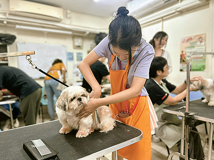 課程強調實操，助學員掌握實務技巧。