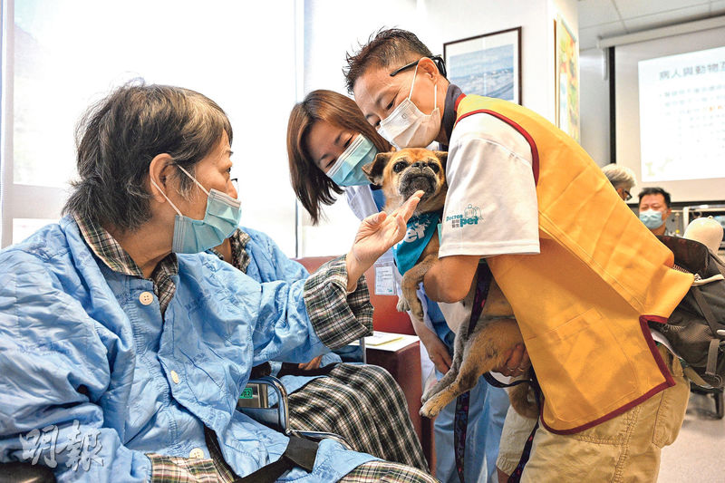 醫管局轄下醫院不時舉辦動物探訪活動,動物義工Angela(右)不時帶同手抱的Goofy和另一愛犬Humpty參與;醫院亦會為末期及臨終病人安排個人寵物探訪,家中養有13歲三色貓的馮婆婆(左)說欣賞措施。圖中為醫管局紓緩治療中央委員會主席郭愛玲。(曾憲宗攝)