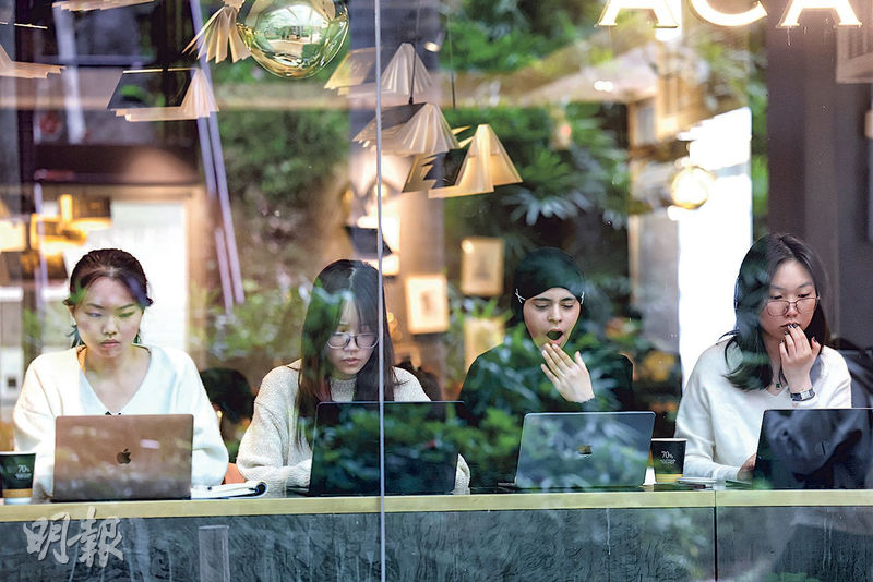圖為昨日港大校園一隅。教資會數據顯示，港大今學年有3268名來自內地的本科生，按年增逾330人，佔非本地生66.8%。（李紹昌攝）