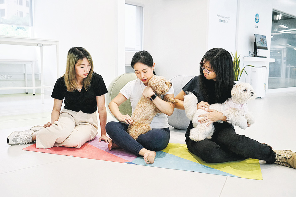 IVE健康及生命科學學科將持續開拓靈活多元的進修途徑，涵蓋不同範疇，包括健康護理、水產養殖、寵物護理等課程，助不同背景、志趣者，持續提升競爭力。