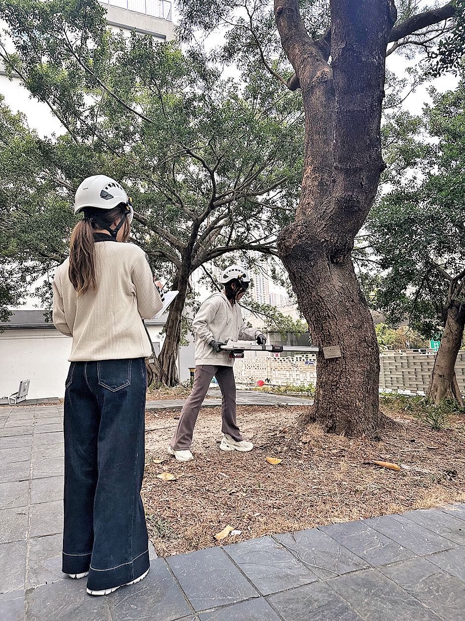「保育及樹木管理高級文憑」、「醫務中心營運高級文憑」及「中醫藥專業及營運高級文憑【授課語言：中文（廣東話）】」，均歡迎不同學術背景的DSE考生報讀。課程教授入行必備技能，配合實務訓練、實地考察及實習等，助學生提升就業競爭力。