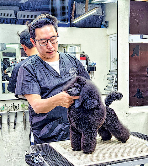 循道衛理中心寵物課程導師何志文(Gary)