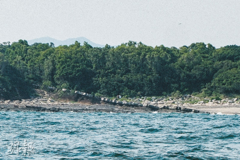 東平洲「龍落水」岩層形成三角脊狀，斜斜沒入海面。（賴俊傑攝）